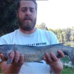 Channel Catfish