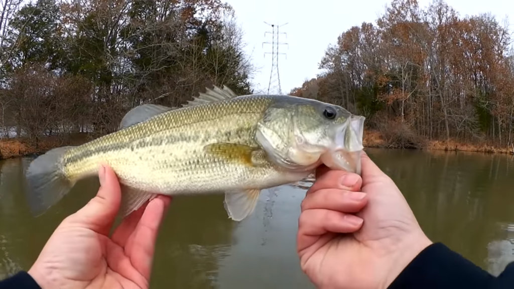 winter fishing with casting spoons and crankbaits boat fishing - Realistic Fishing