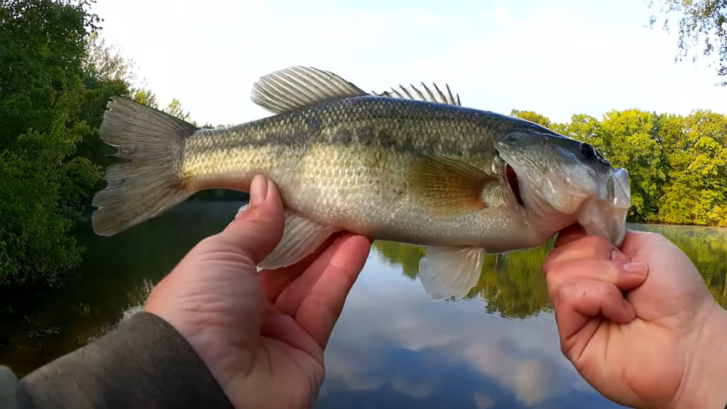 1 Dollar Creature Bait vs 12 Dollar Whopper Plopper Cheap Lures Catch Bass Too - Realistic Fishing