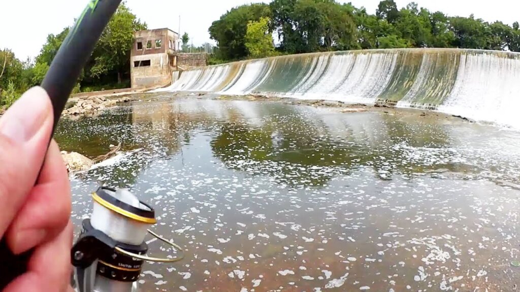 july 22 walter hill dam - Realistic Fishing