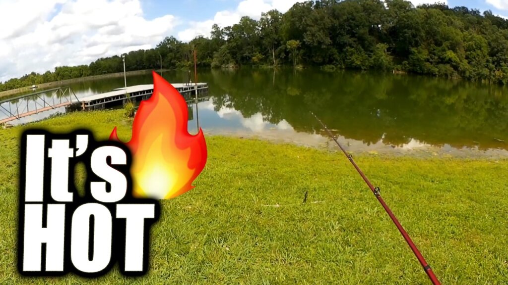 maxresdefault 10 - Realistic Fishing